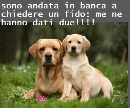C'E' QUALCOSA CHE NUN VA !! - 05/01/2013