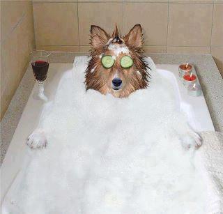 C'HO VOJA DE RELAX !! - 05/01/2013