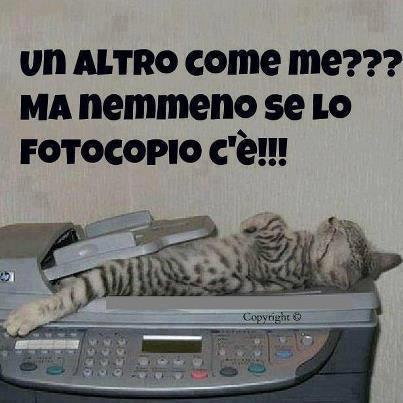 SO' UNICO !! - 06/01/2013