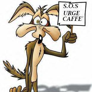 ME STO A ABBIOCCA' !! - 06/01/2013