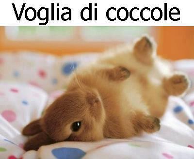 VOJA DE COCCOLE !! - 07/01/2013