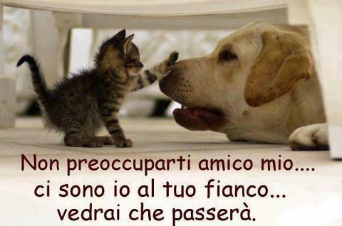 NUN TE PREOCCUPA' !! - 09/01/2013