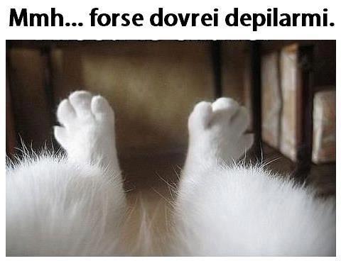 FORSE E' ER CASO !! - 09/01/2013