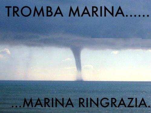 Immagine Divertente - 10/01/2013