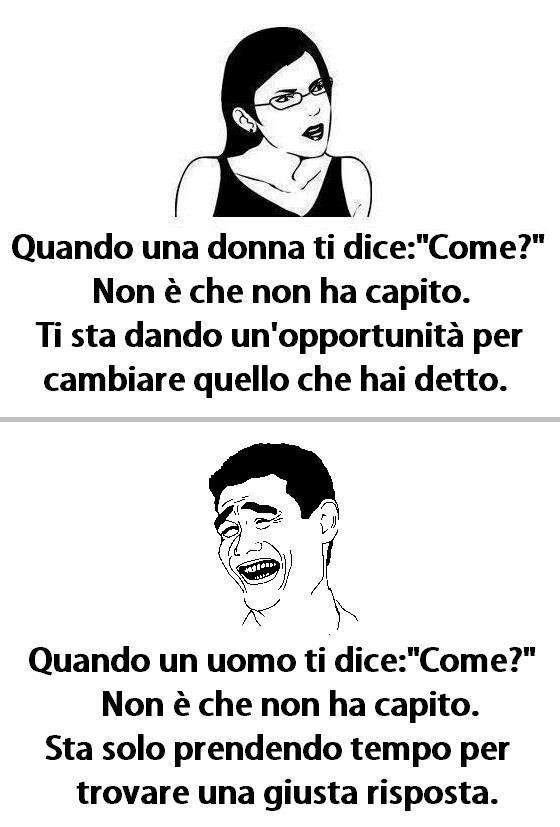 Immagine Divertente - 10/01/2013
