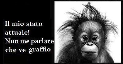 Immagine Divertente - 11/01/2013