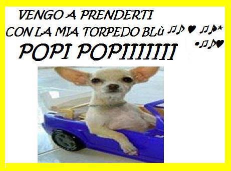 Immagine Divertente - 11/01/2013