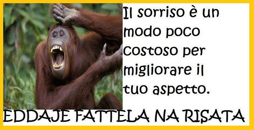 Immagine Divertente - 11/01/2013