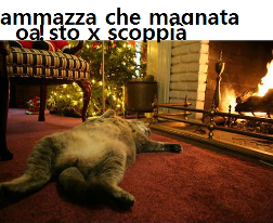 STO A SCOPPIA' !! - 26/12/2012