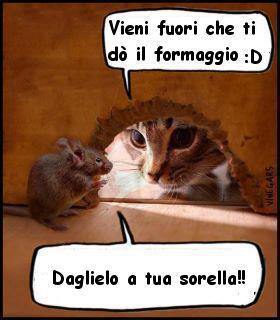 Vignetta Divertente - 29/07/2012