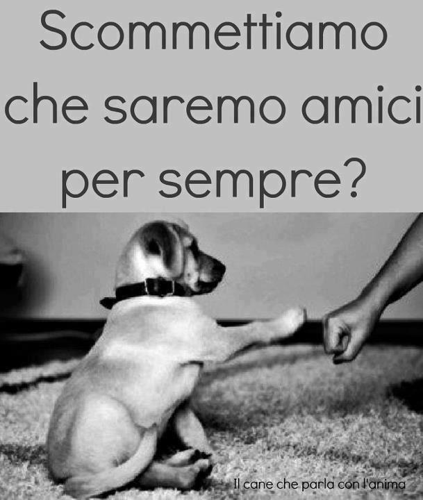 Immagine Divertente - 12/01/2013