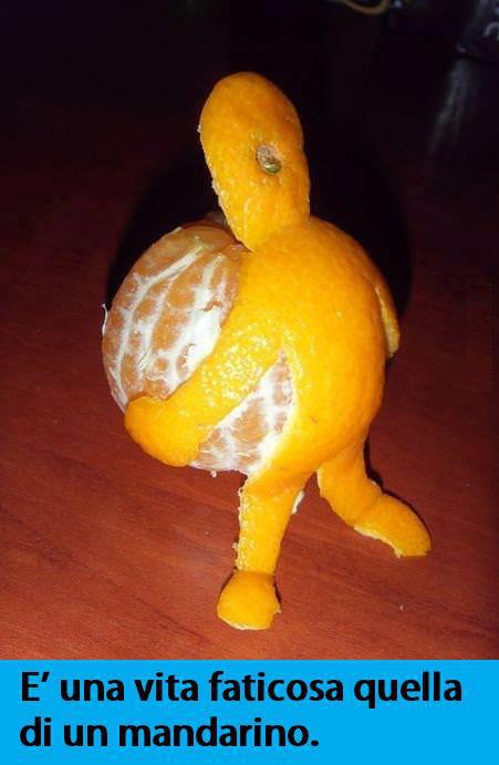 Immagine Divertente - 13/01/2013