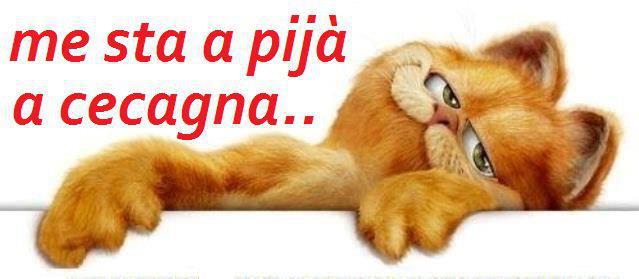Vignetta Divertente - 13/01/2013