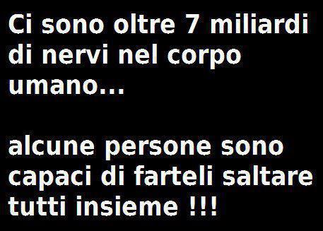 Immagine Divertente - 13/01/2013