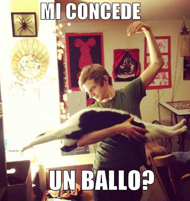 Immagine Divertente - 14/01/2013