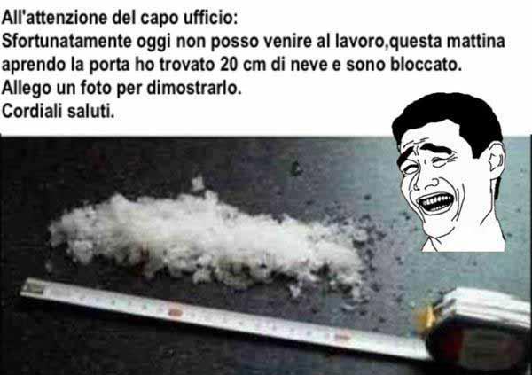 Immagine Divertente - 14/01/2013