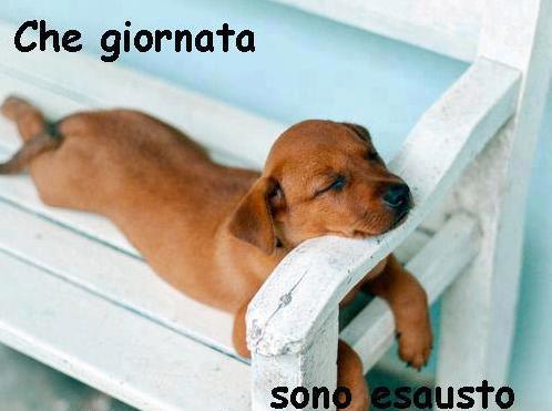 Immagine Divertente - 14/01/2013