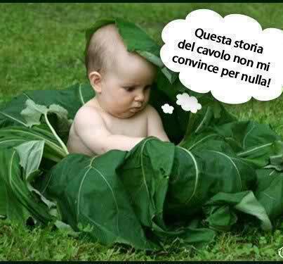 Immagine Divertente - 15/01/2013