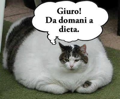Immagine Divertente - 15/01/2013