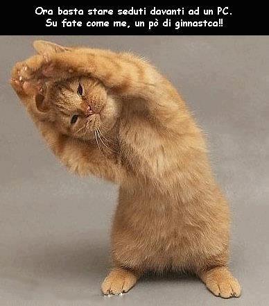 Immagine Divertente - 15/01/2013