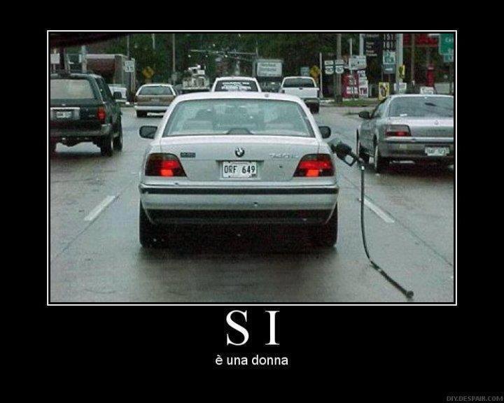 Immagine Divertente - 15/01/2013