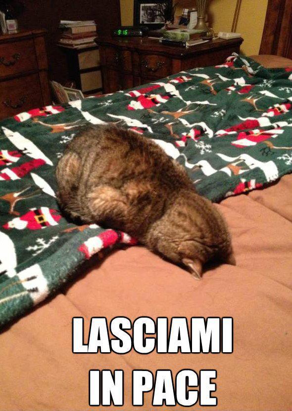 LASSAME IN PACE !! - 15/01/2013