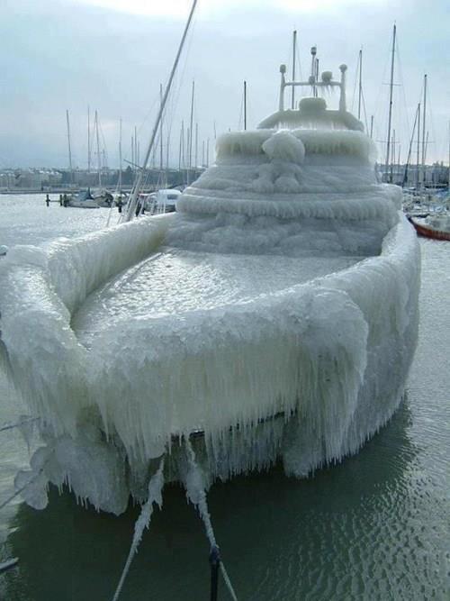 Immagine Divertente - 15/01/2013