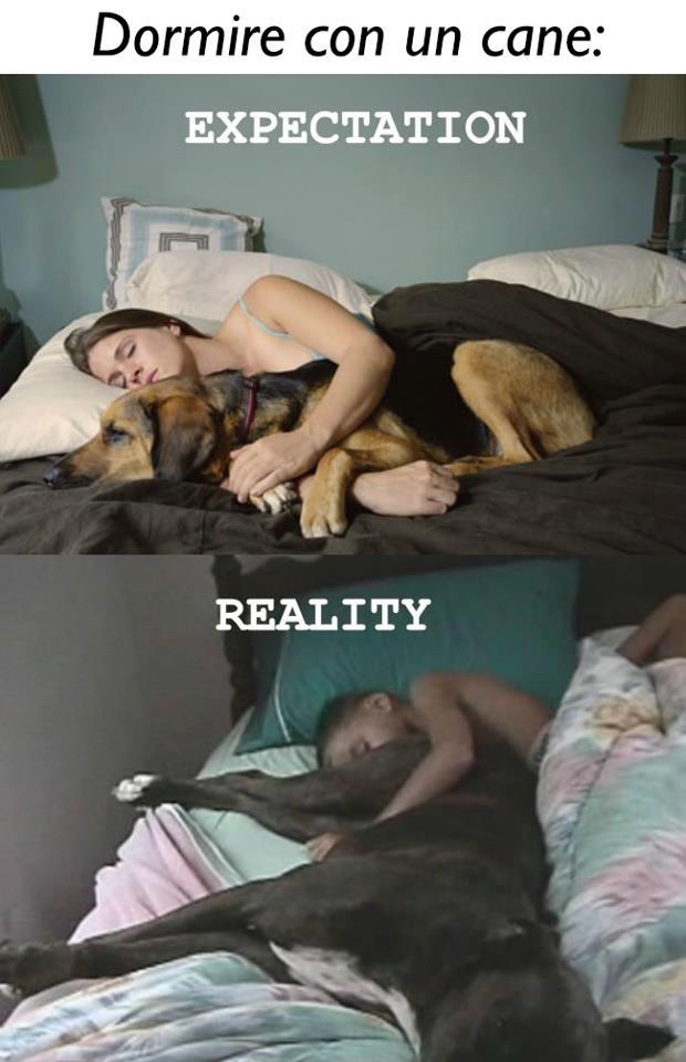 CE SO' DIFFERENZE !! - 15/01/2013