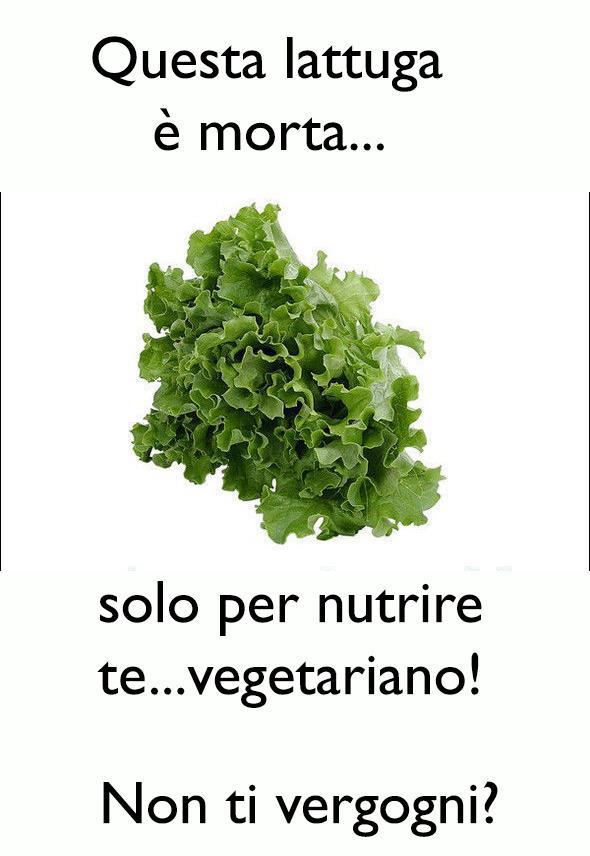 Immagine Divertente - 15/01/2013