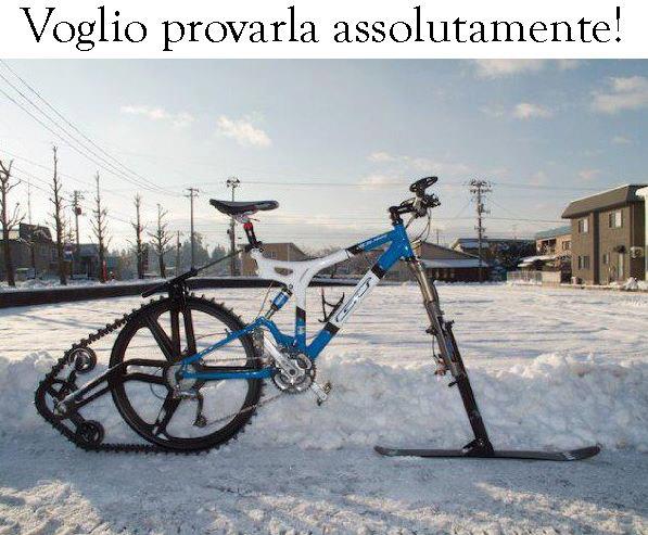 Immagine Divertente - 15/01/2013