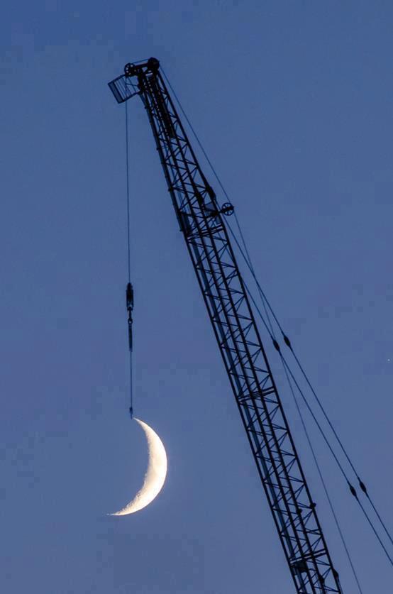 Immagine Divertente - 16/01/2013