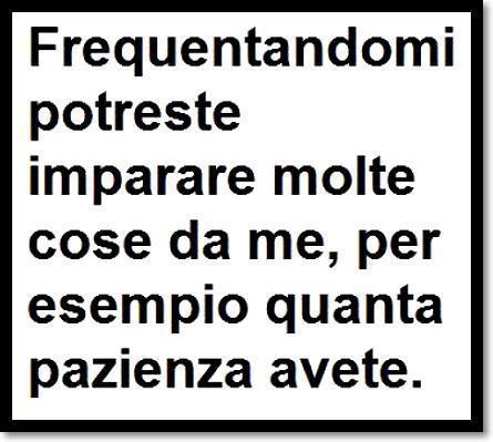 Immagine Divertente - 17/01/2013