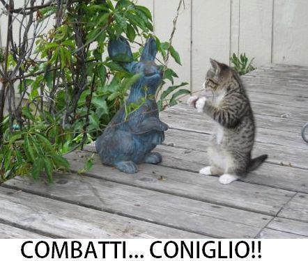 Immagine Divertente - 18/01/2013