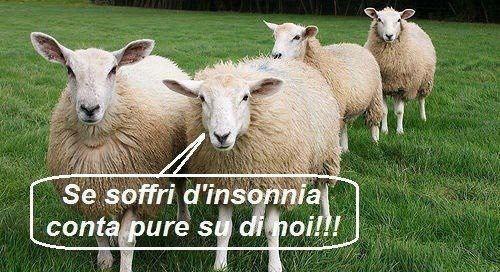 Immagine Divertente - 19/01/2013