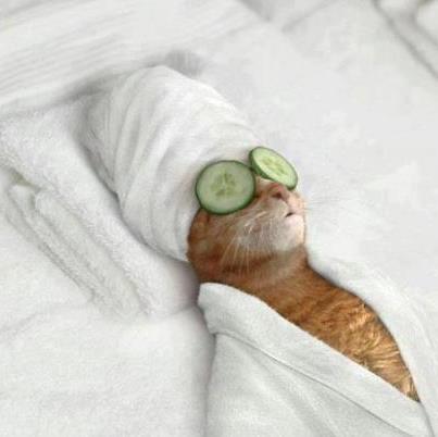 NUN ME DISTURBATE... ME STO A RILASSA' !! - 03/08/2012