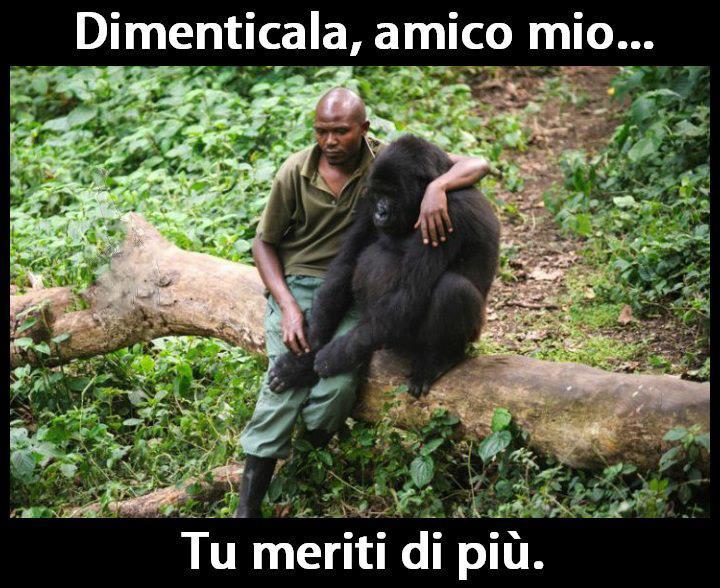 Immagine Divertente - 20/01/2013