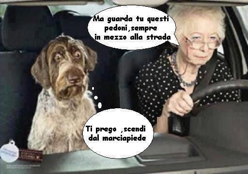Vignetta Divertente - 22/01/2013