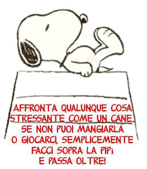 Immagine Divertente - 22/01/2013