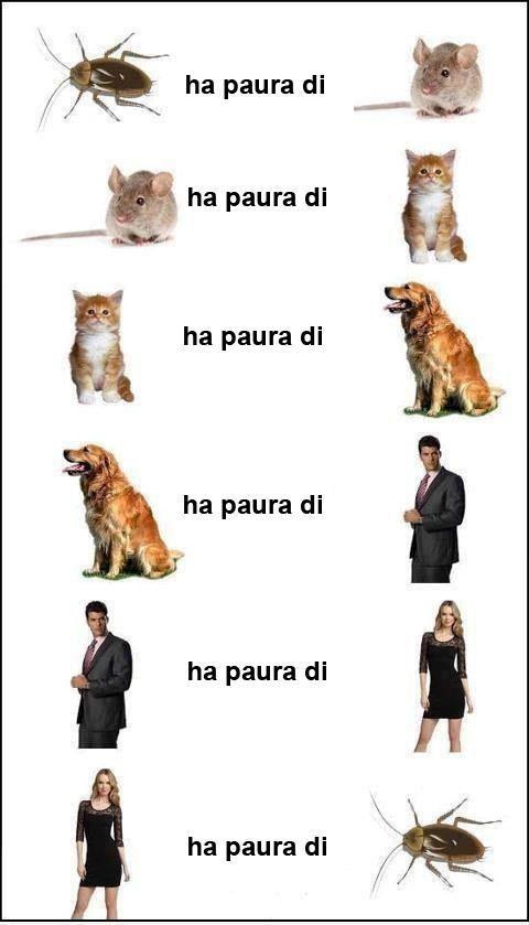 Immagine Divertente - 23/01/2013