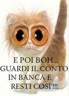 Immagine Divertente - 23/01/2013