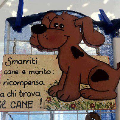 Immagine Divertente - 23/01/2013