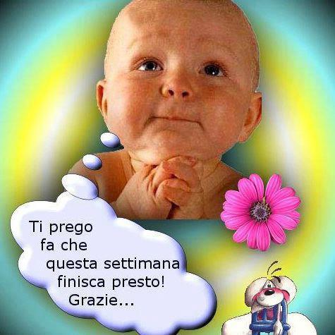 Immagine Divertente - 23/01/2013