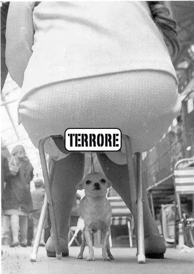 ER TERRORE !! - 23/01/2013