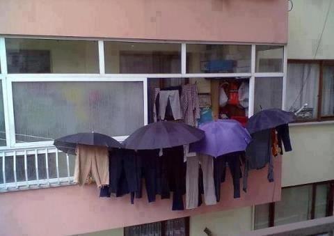 Immagine Divertente - 25/01/2013