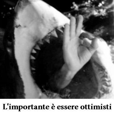 Immagine Divertente - 25/01/2013