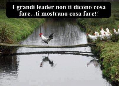 Immagine Divertente - 25/01/2013