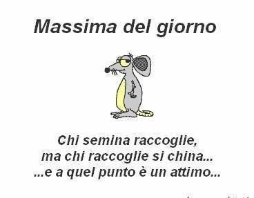 Immagine Divertente - 26/01/2013