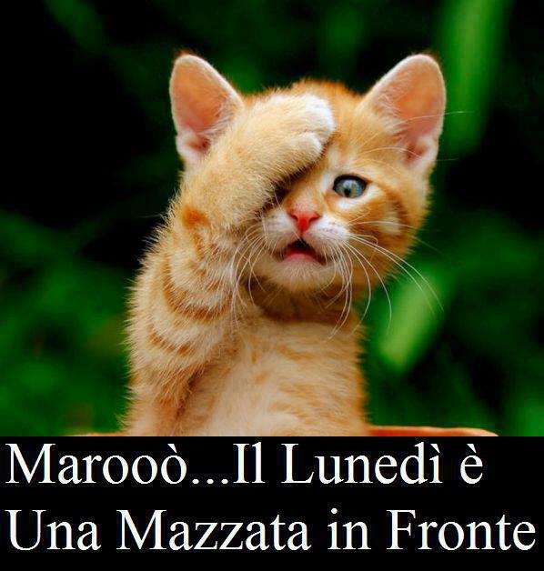 NUN CE LA POSSO FA' !! - 28/01/2013