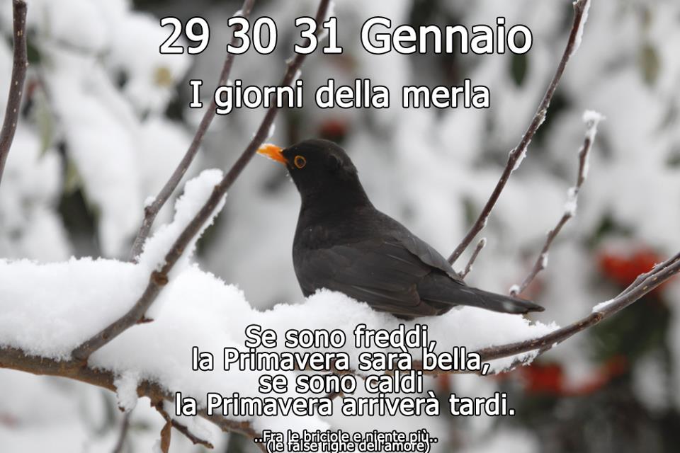 LA VERA STORIA DEI GIORNI DELLA MERLA 28, 29 E 30 GENNAIO - 29/01/2013