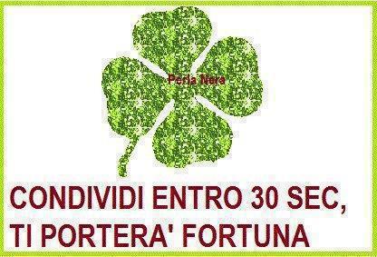 Immagine Divertente - 29/01/2013